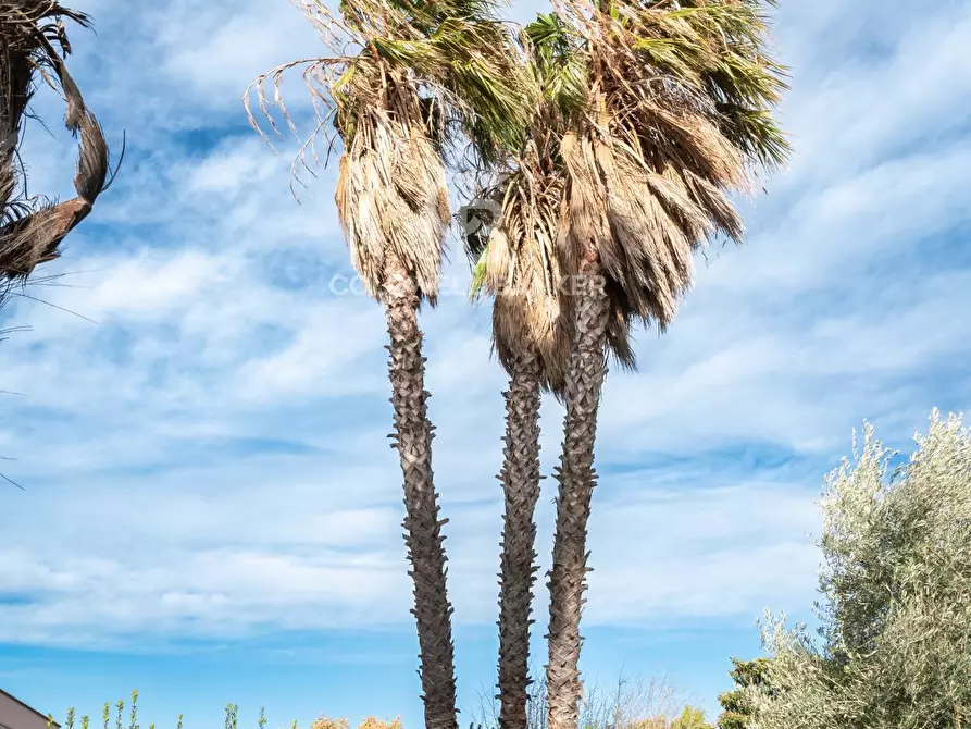 Immagine 61 di Villa in vendita  in VIA SPIRITO SANTO 120D a Aci Sant'antonio