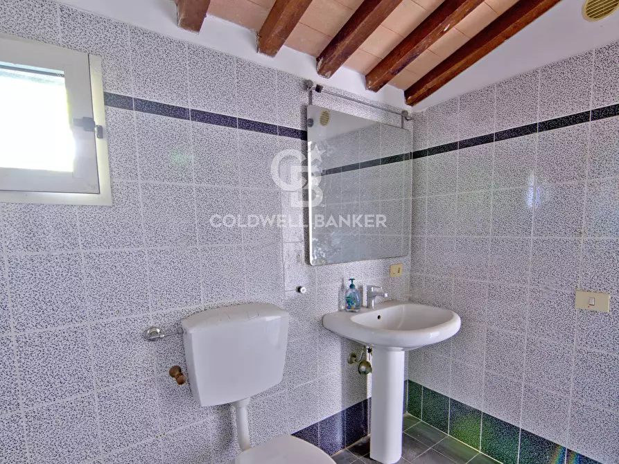 Immagine 17 di Appartamento in vendita  in Loc. Santa Maria a Capoliveri