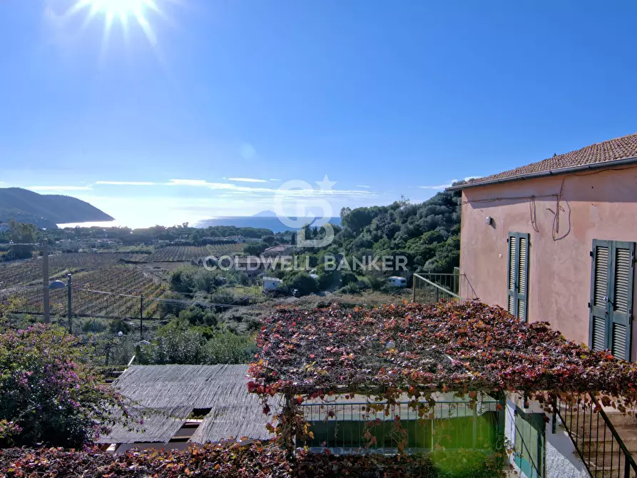 Immagine 15 di Appartamento in vendita  in Loc. Santa Maria a Capoliveri