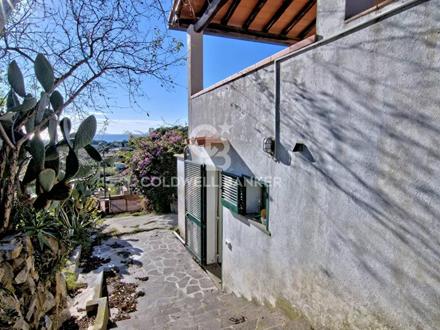 Immagine 19 di Appartamento in vendita  in Loc. Santa Maria a Capoliveri