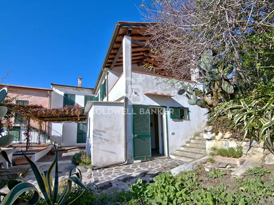 Immagine 20 di Appartamento in vendita  in Loc. Santa Maria a Capoliveri