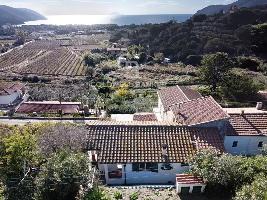 Immagine 2 di Appartamento in vendita  in Loc. Santa Maria a Capoliveri