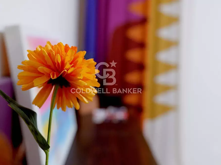 Immagine 14 di Appartamento in affitto  in Via Fiume 22 a Catania