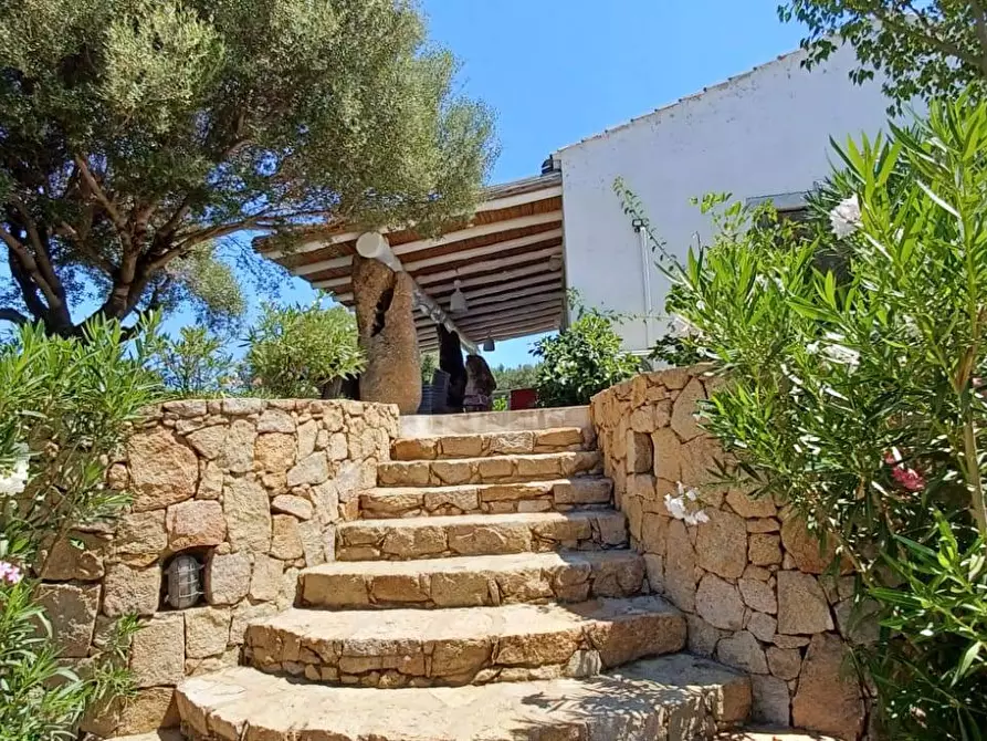 Immagine 8 di Villa in vendita  in via Monte Ladu 34/b a Olbia