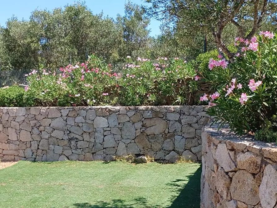 Immagine 10 di Villa in vendita  in via Monte Ladu 34/b a Olbia