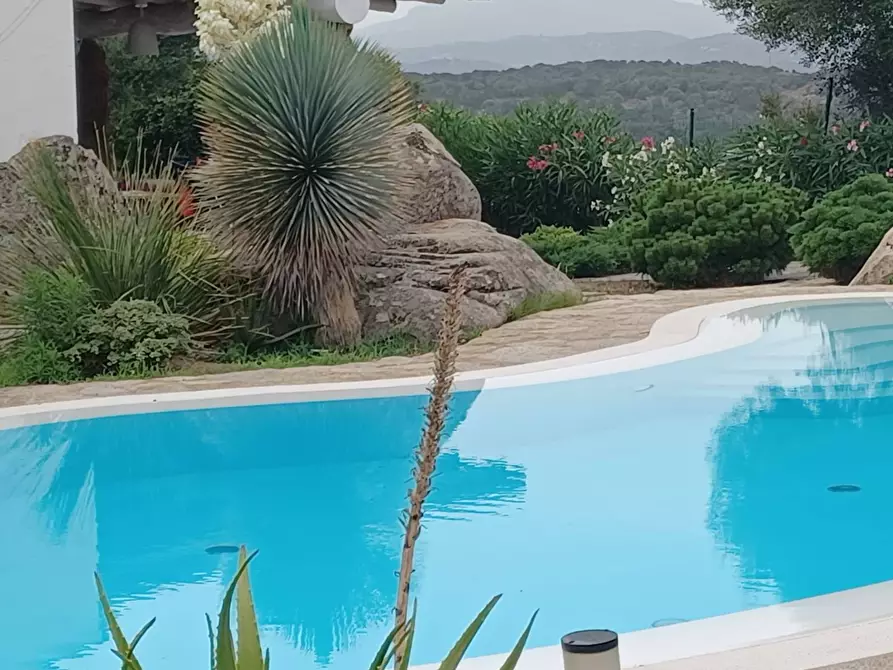 Immagine 11 di Villa in vendita  in via Monte Ladu 34/b a Olbia