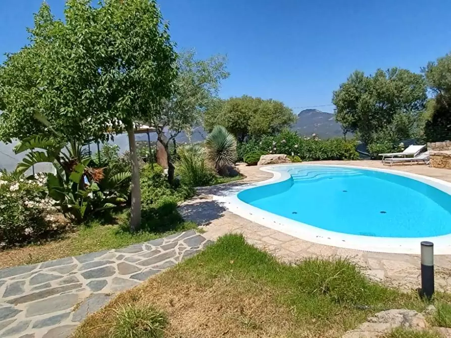 Immagine 5 di Villa in vendita  in via Monte Ladu 34/b a Olbia