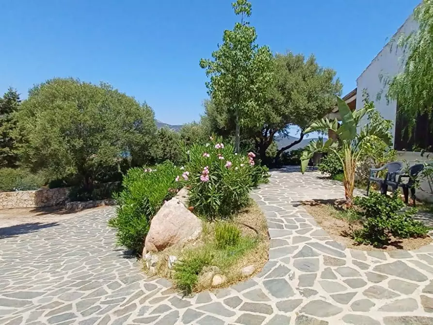 Immagine 14 di Villa in vendita  in via Monte Ladu 34/b a Olbia