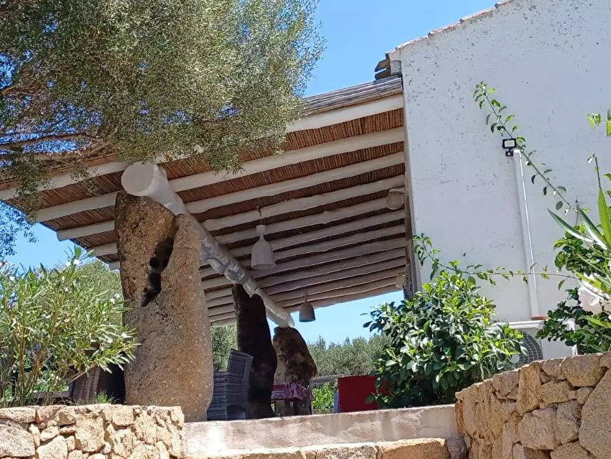 Immagine 17 di Villa in vendita  in via Monte Ladu 34/b a Olbia