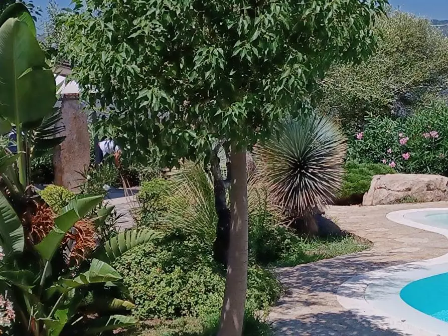 Immagine 20 di Villa in vendita  in via Monte Ladu 34/b a Olbia