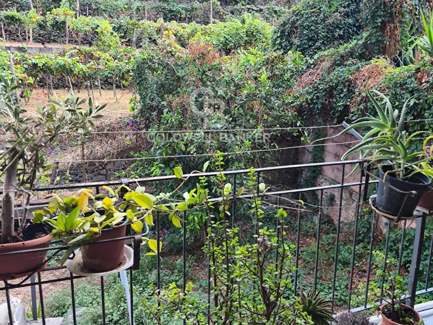 Immagine 2 di Casa semindipendente in vendita  in Via Camillo Benso Conte di Cavour 12 a Santa Venerina