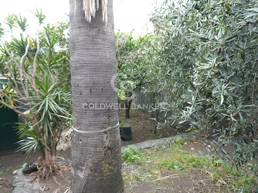 Immagine 2 di Villetta a schiera in vendita  in Via Sacerdote G. Cardillo a Acireale