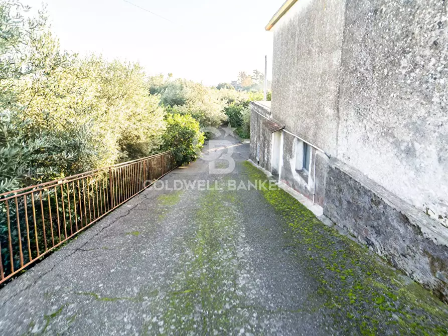 Immagine 2 di Terreno agricolo in vendita  in via Provinciale 341 a Santa Venerina