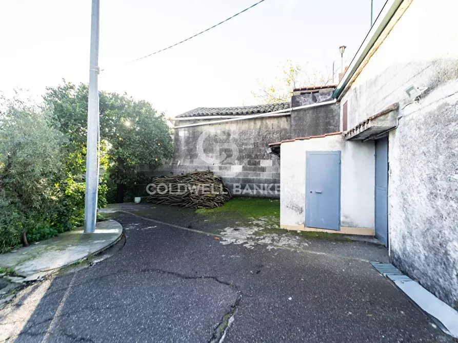 Immagine 10 di Terreno agricolo in vendita  in via Provinciale 341 a Santa Venerina