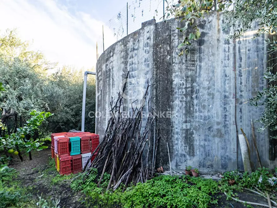 Immagine 3 di Terreno agricolo in vendita  in via Provinciale 341 a Santa Venerina