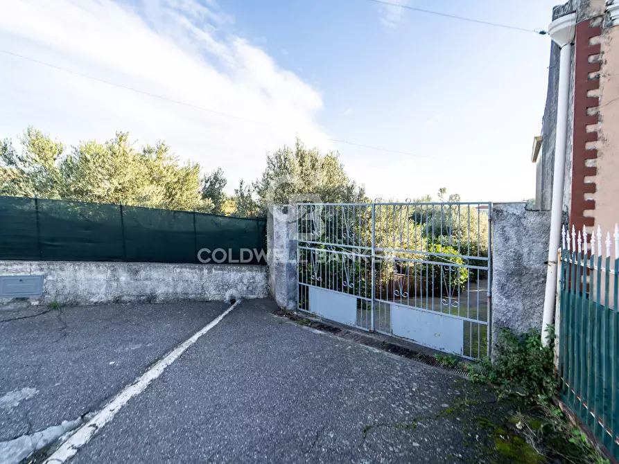 Immagine 14 di Terreno agricolo in vendita  in via Provinciale 341 a Santa Venerina