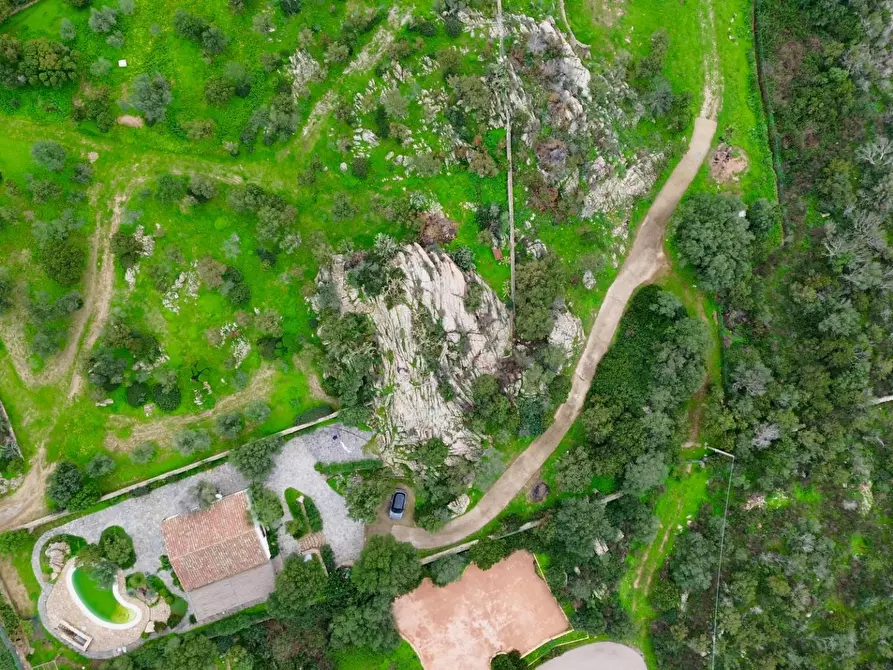 Immagine 5 di Villa in vendita  in via Monte Ladu 34/b a Olbia