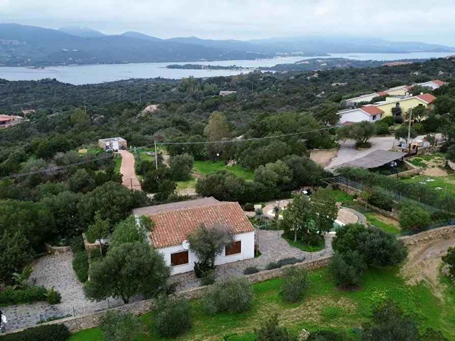 Immagine 6 di Villa in vendita  in via Monte Ladu 34/b a Olbia
