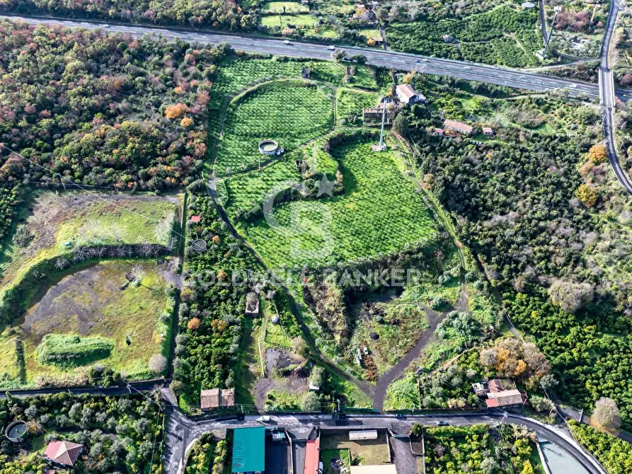 Immagine 10 di Terreno agricolo in vendita  in via patellazza a Santa Venerina