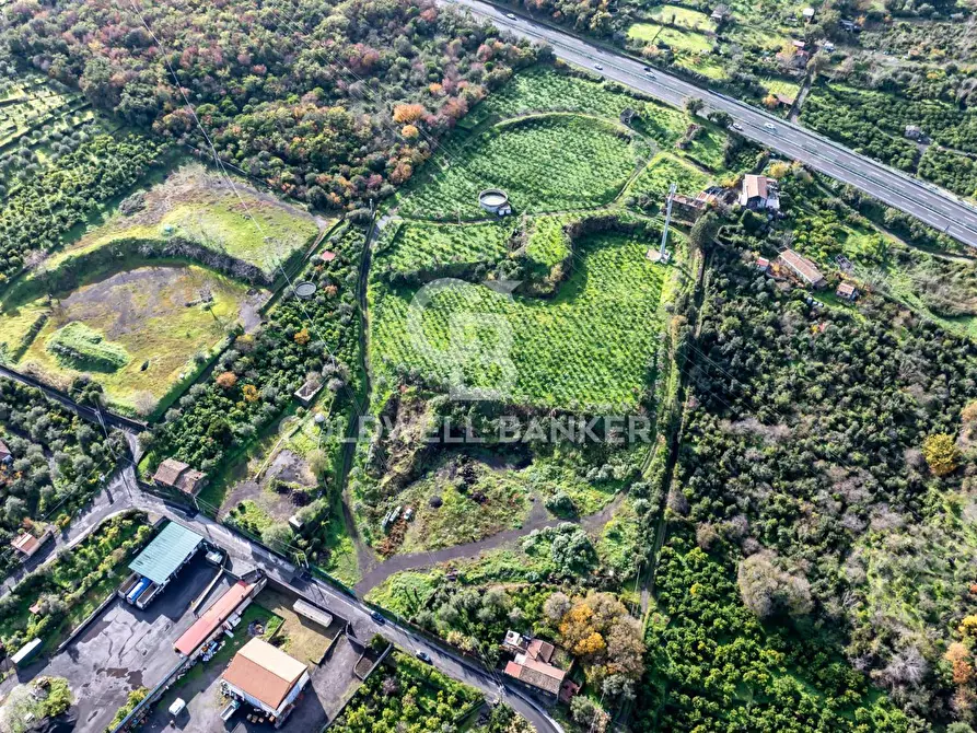 Immagine 5 di Terreno agricolo in vendita  in via patellazza a Santa Venerina