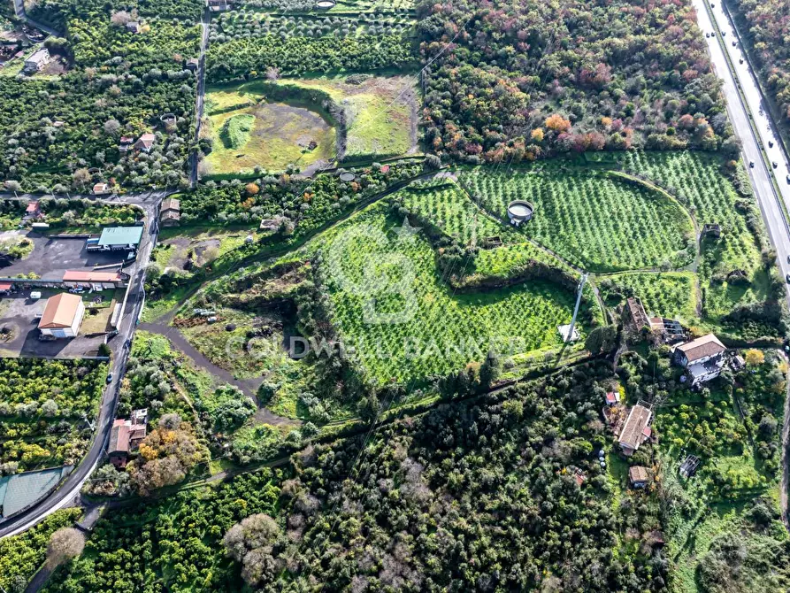 Immagine 6 di Terreno agricolo in vendita  in via patellazza a Santa Venerina