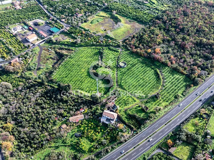 Immagine 7 di Terreno agricolo in vendita  in via patellazza a Santa Venerina