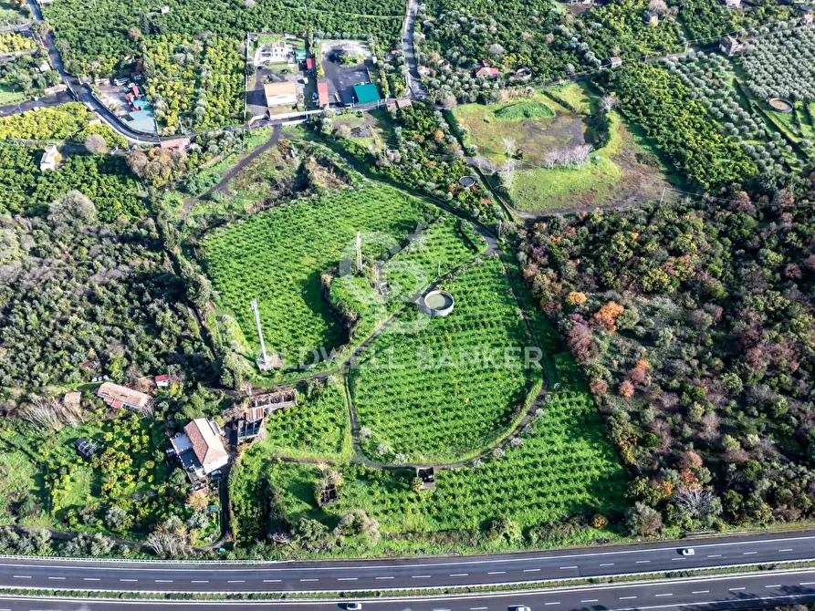 Immagine 8 di Terreno agricolo in vendita  in via patellazza a Santa Venerina