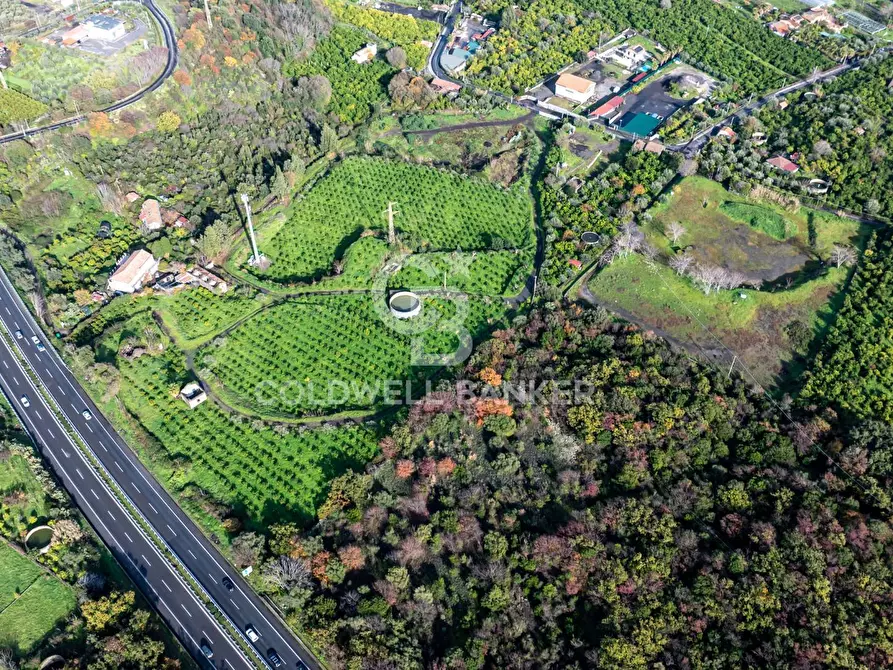 Immagine 9 di Terreno agricolo in vendita  in via patellazza a Santa Venerina