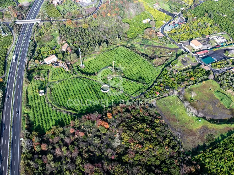 Immagine 11 di Terreno agricolo in vendita  in via patellazza a Santa Venerina