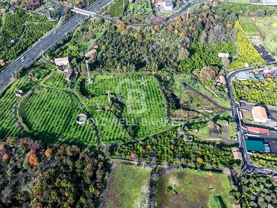 Immagine 12 di Terreno agricolo in vendita  in via patellazza a Santa Venerina