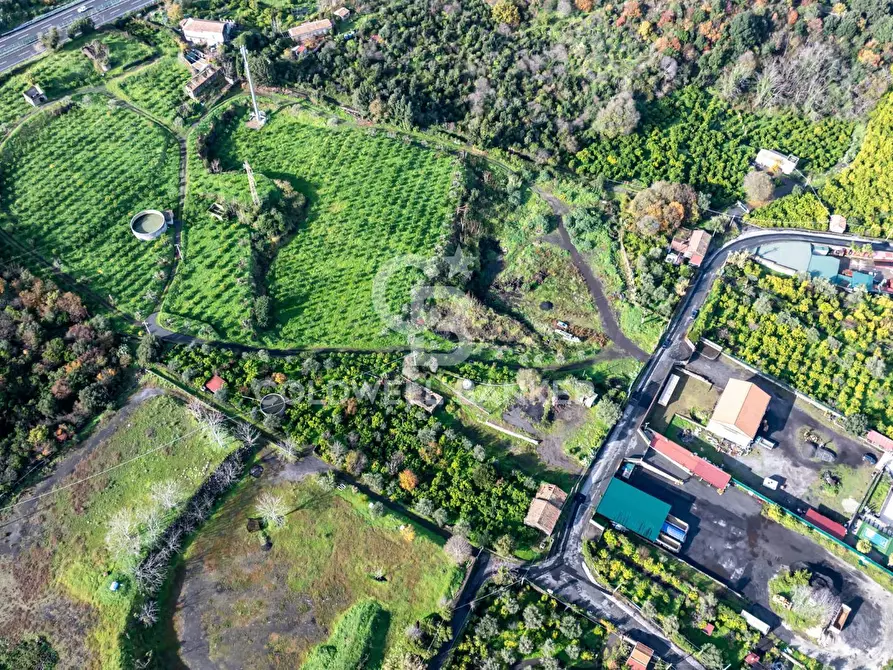 Immagine 13 di Terreno agricolo in vendita  in via patellazza a Santa Venerina