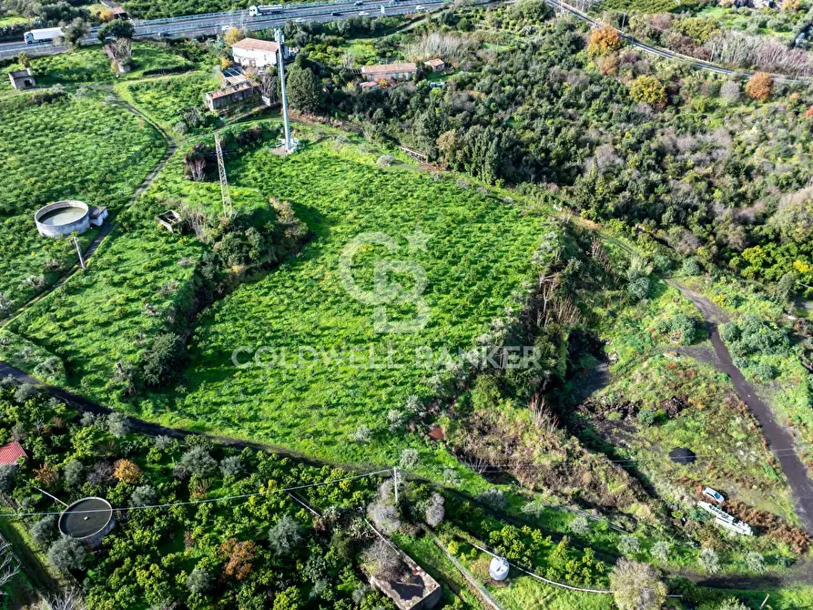Immagine 14 di Terreno agricolo in vendita  in via patellazza a Santa Venerina