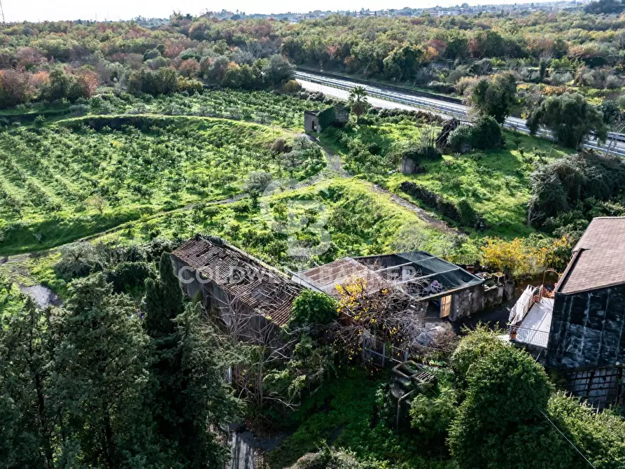 terreno agricolo in vendita a Santa Venerina