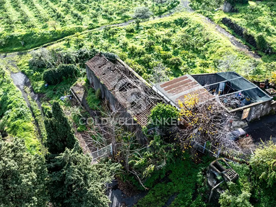 Immagine 4 di Terreno agricolo in vendita  in via patellazza a Santa Venerina
