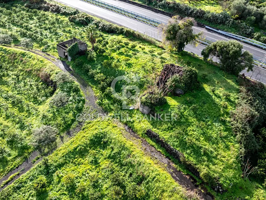 Immagine 15 di Terreno agricolo in vendita  in via patellazza a Santa Venerina