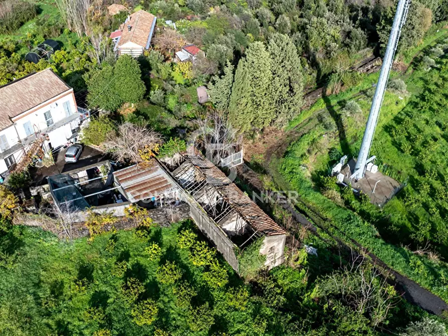 Immagine 3 di Terreno agricolo in vendita  in via patellazza a Santa Venerina