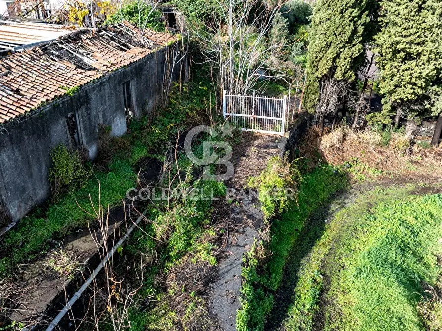 Immagine 2 di Terreno agricolo in vendita  in via patellazza a Santa Venerina