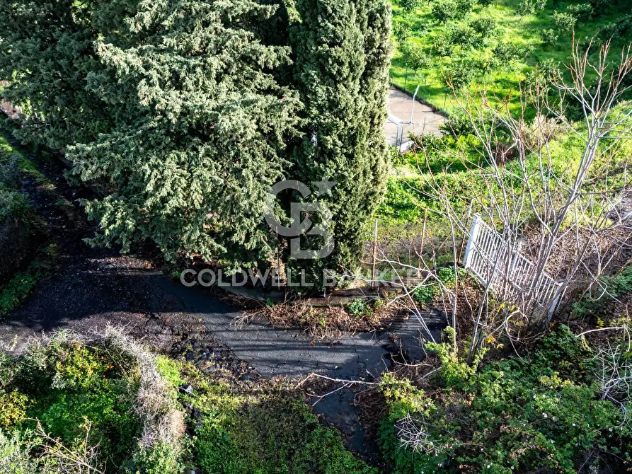 Immagine 17 di Terreno agricolo in vendita  in via patellazza a Santa Venerina