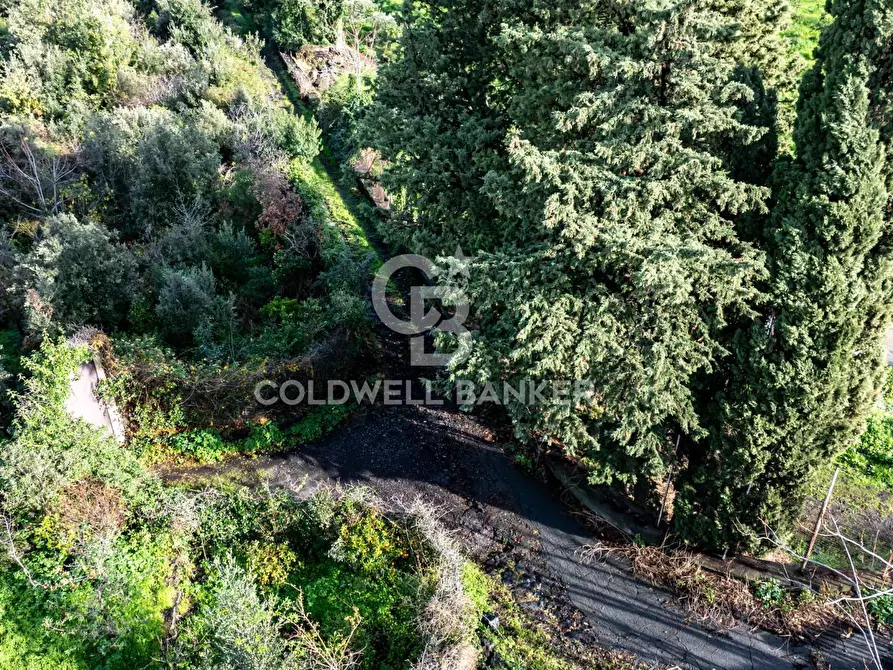 Immagine 18 di Terreno agricolo in vendita  in via patellazza a Santa Venerina