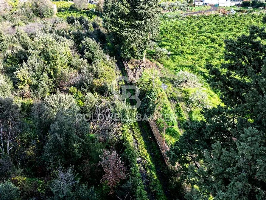 Immagine 19 di Terreno agricolo in vendita  in via patellazza a Santa Venerina