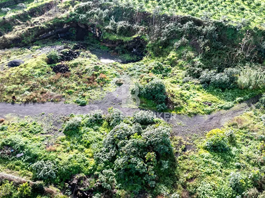 Immagine 20 di Terreno agricolo in vendita  in via patellazza a Santa Venerina