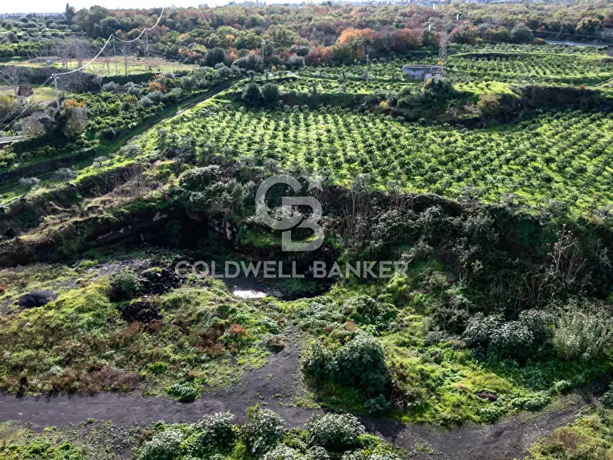 Immagine 21 di Terreno agricolo in vendita  in via patellazza a Santa Venerina