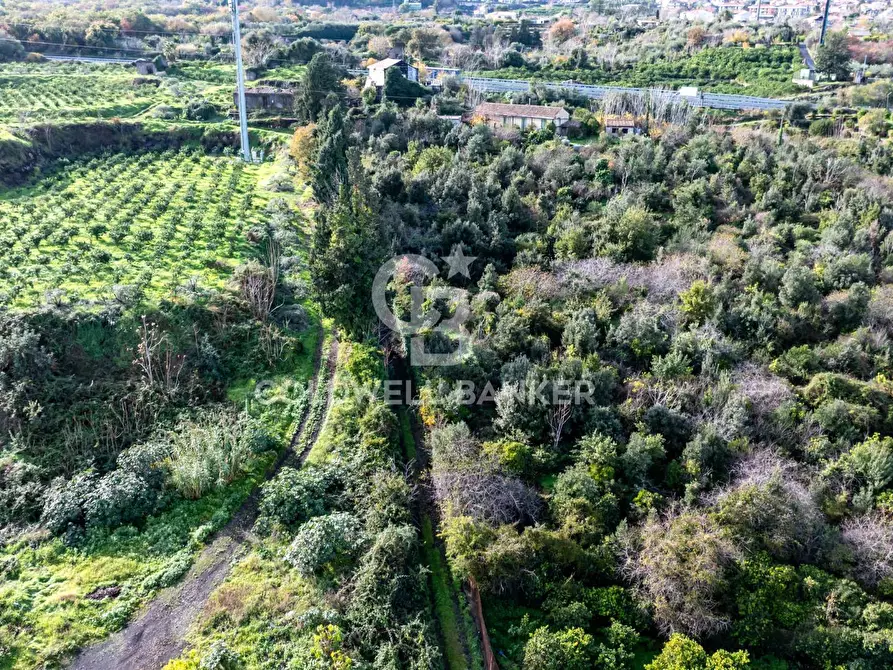 Immagine 22 di Terreno agricolo in vendita  in via patellazza a Santa Venerina