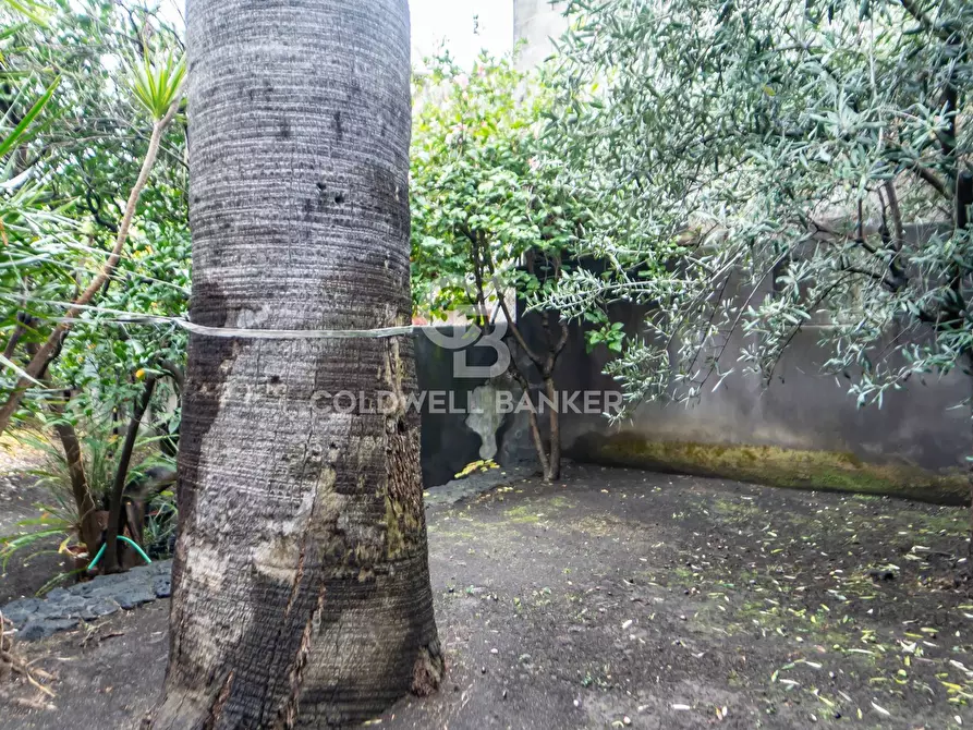 Immagine 78 di Villetta a schiera in vendita  in Via Sacerdote G. Cardillo a Acireale