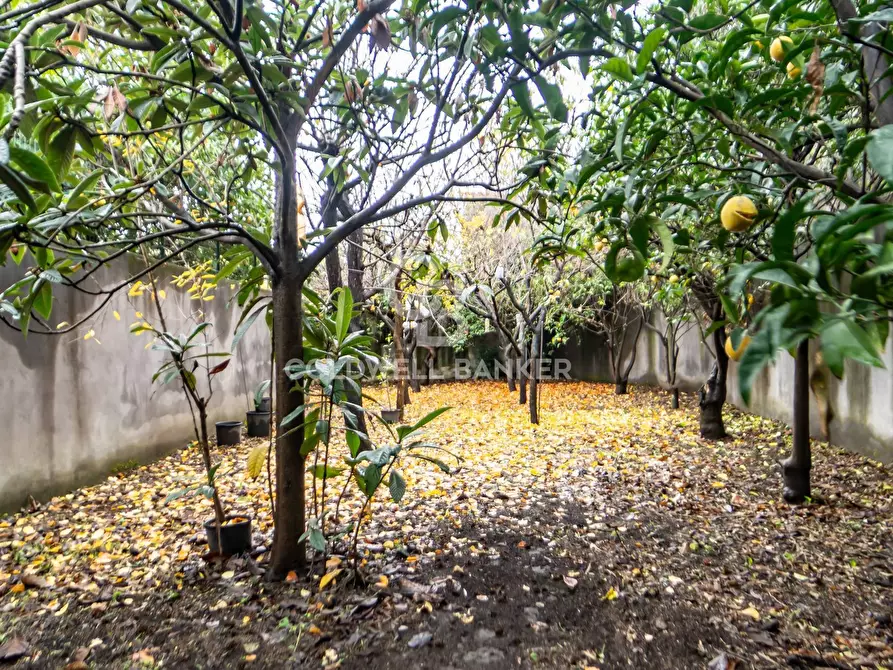 Immagine 80 di Villetta a schiera in vendita  in Via Sacerdote G. Cardillo a Acireale
