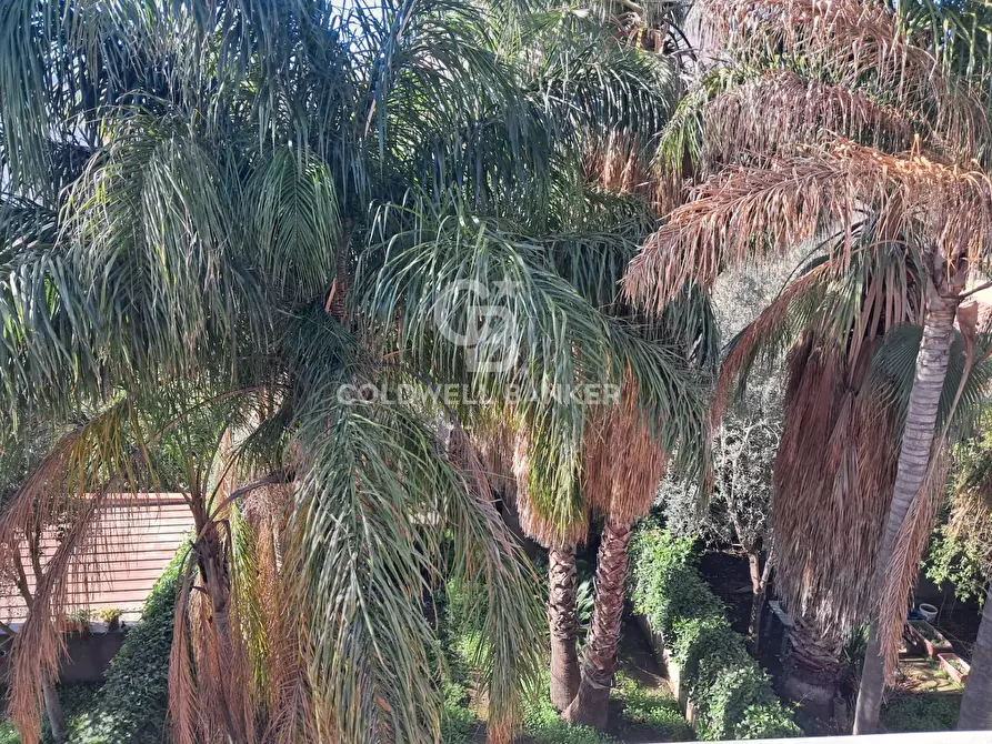 casa indipendente in vendita ad Acireale in zona Aci Platani