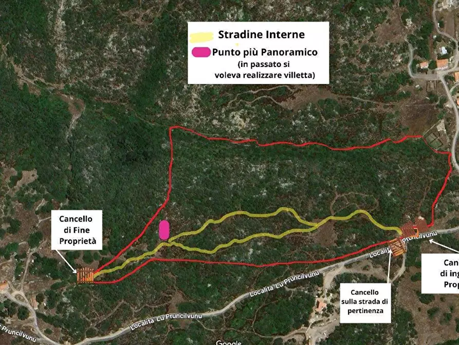 Immagine 11 di Terreno agricolo in vendita  in SP90 s.n.c. a Santa Teresa Gallura
