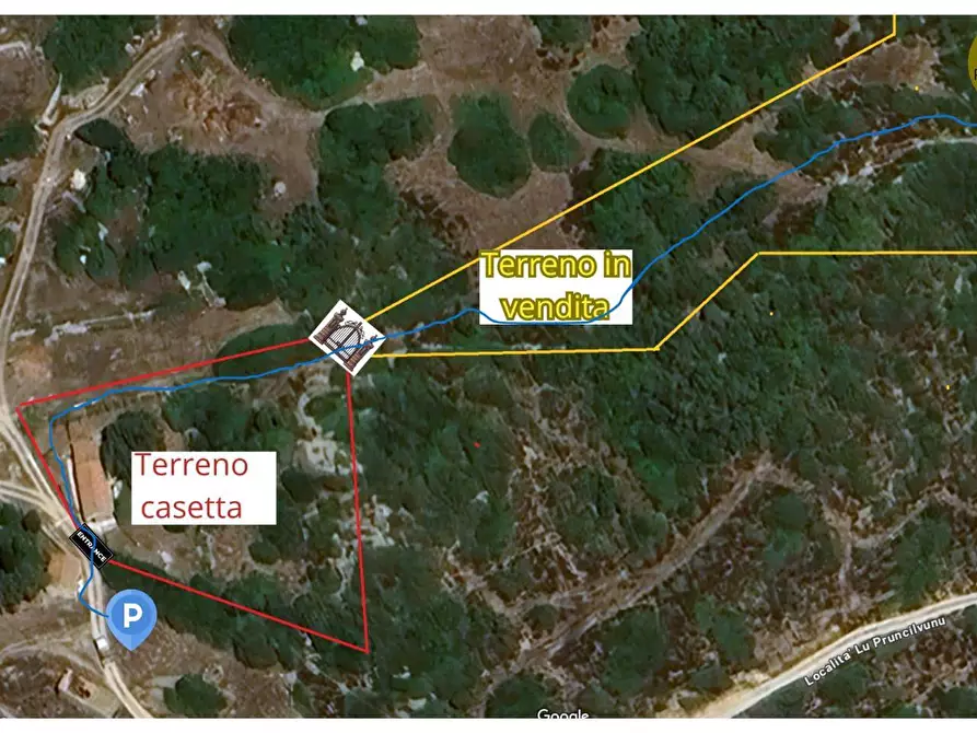 Immagine 12 di Terreno agricolo in vendita  in SP90 s.n.c. a Santa Teresa Gallura