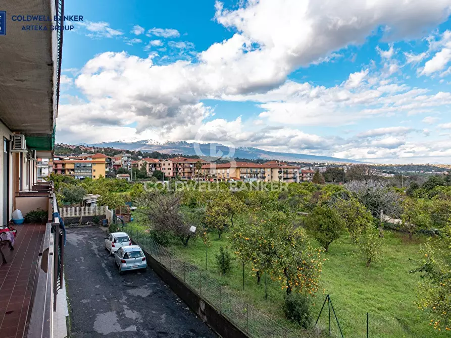 Immagine 15 di Appartamento in vendita  in Via Croce 100 a Aci Catena