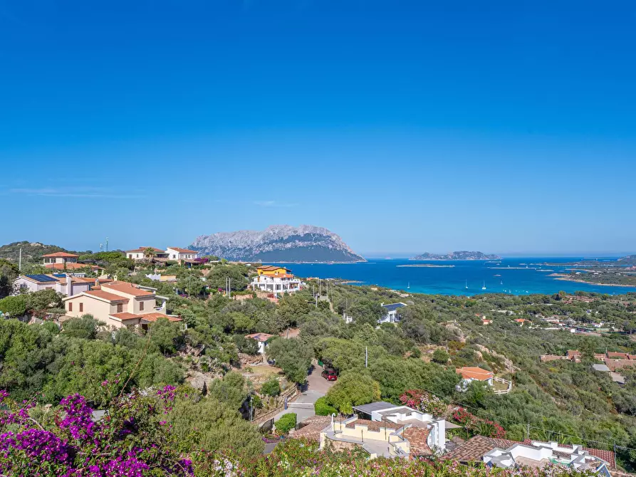 Immagine 20 di Villa in affitto  in Porto IStana a Olbia